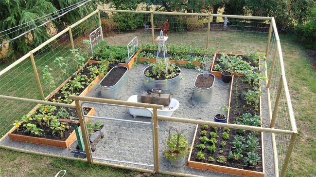 HOW TO PROTECT YOUR VEGGIE GARDEN FROM RABBITS?