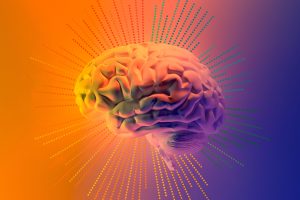 What are things to keep in mind while purchasing a brain booster supplement?
